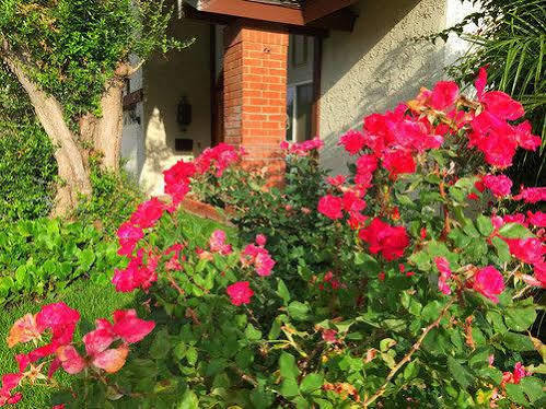 Romantic And Luxury Disney Villa أنهايم المظهر الخارجي الصورة